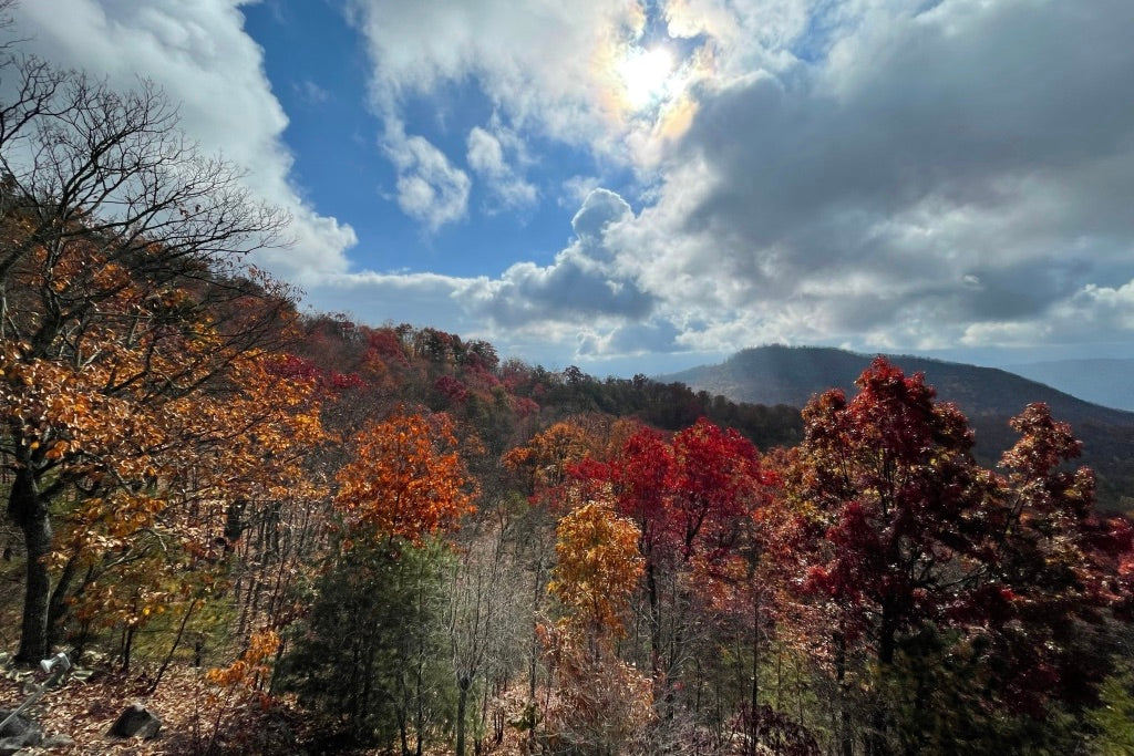 English Mountain TN